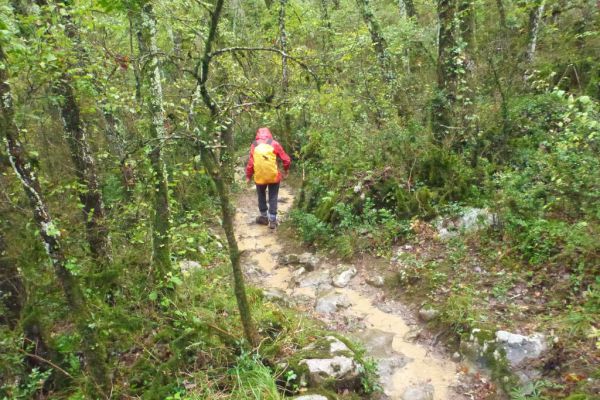 ardeche-2018-07_20181124_13451144684B555E7C-D177-8099-7B4A-29217384790E.jpg