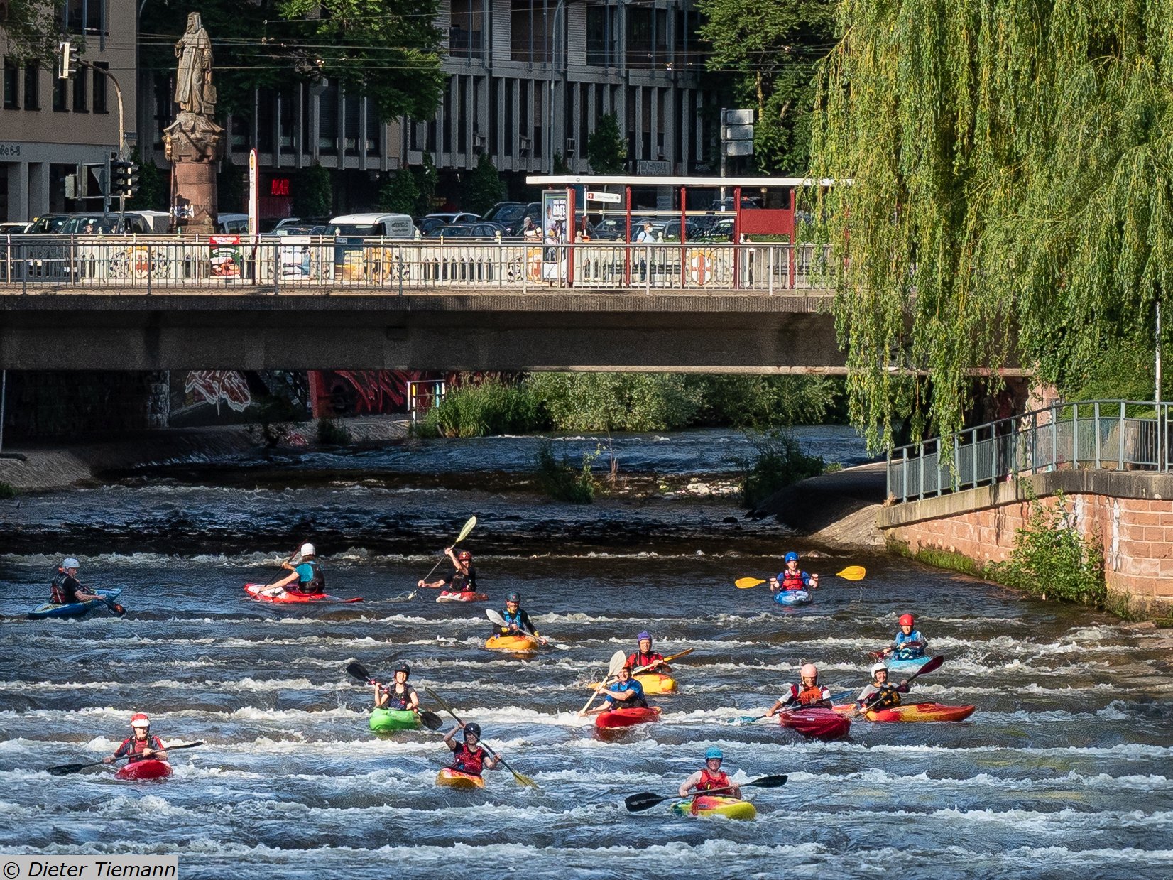 FFF: Feierabend-Paddel-Tour auf unserem Hausbach "Dreisam"