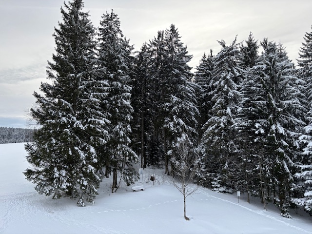 Wanderwege durch verschneite Wälder - auch auf den Bäumen liegt viel Schnee, sodass es eine richtige Winter-Wunderlandschaft ist