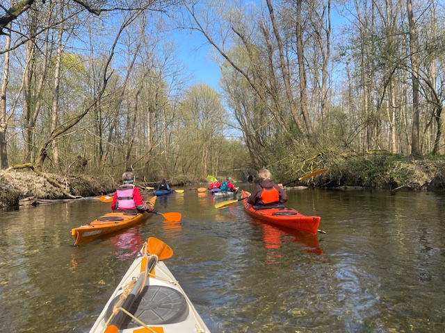 Die Kanuten paddeln mit etwas Abstand auf dem Groschenwasser und freuen sich über das erste Grün der Bäume und das Erwachen der Natur ...