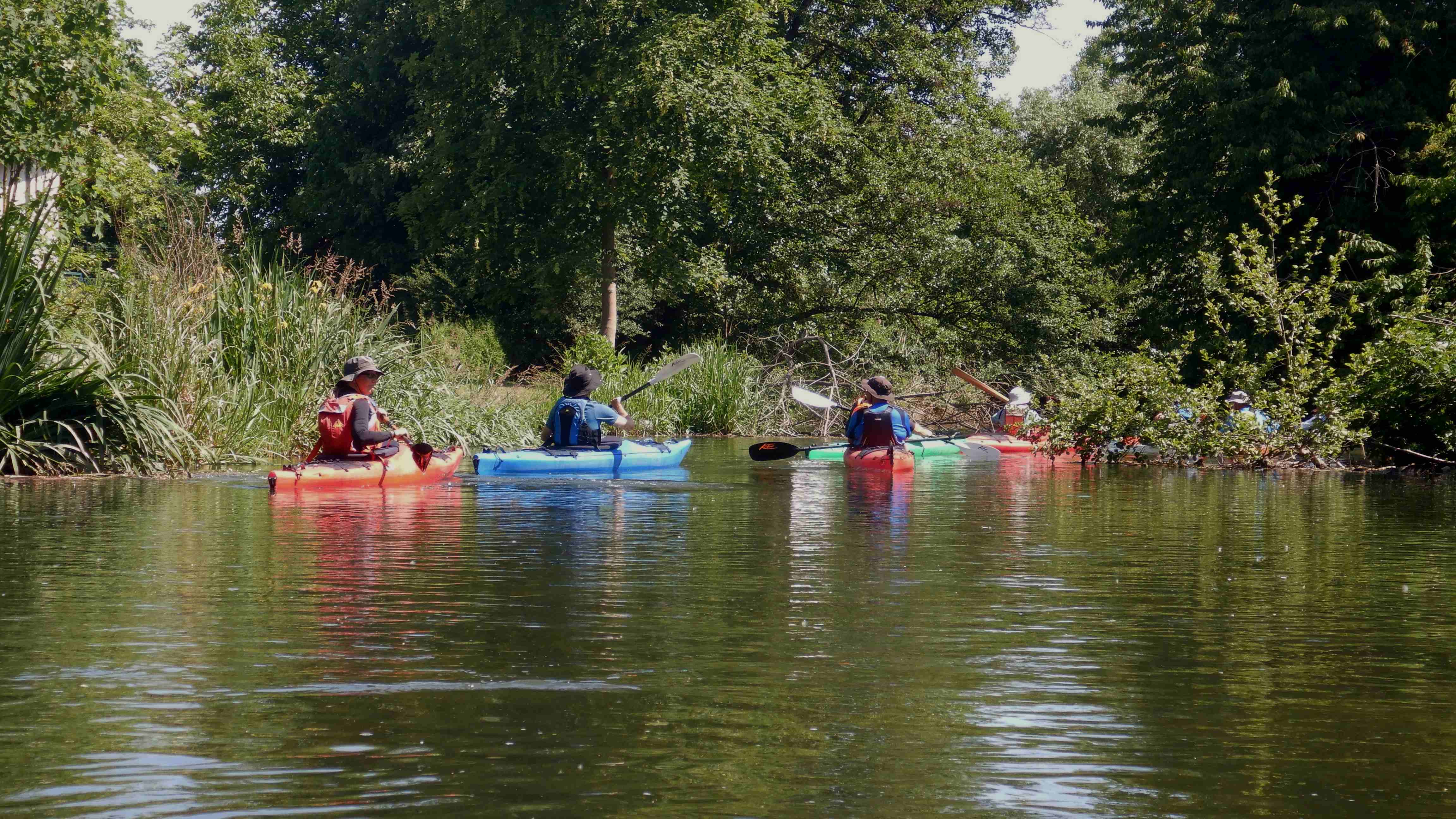 Eine Gruppe von Paddlern mit roten, blauen und grünen Booten paddeln gemütlich auf der Petite Ill im Elsaß