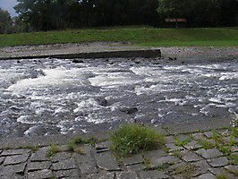 imgp0164 20140921 1983801550