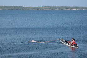 p8020050 20140908 1391887346