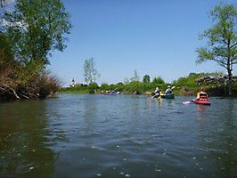 p1040173 20160513 1103880086