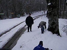 fff 2008 osternlothringen 005 20131205 2099153433