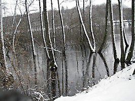 fff 2008 osternlothringen 006 20131205 2045973028