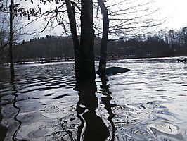 fff 2008 osternlothringen 012 20131205 1889619103